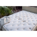 King Koil Natural Twilight Maple TrimLine Firm Mattress (King) IMAGE 5