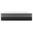  Sealy Balas Firm Tight Top Mattress (Twin XL) IMAGE 4