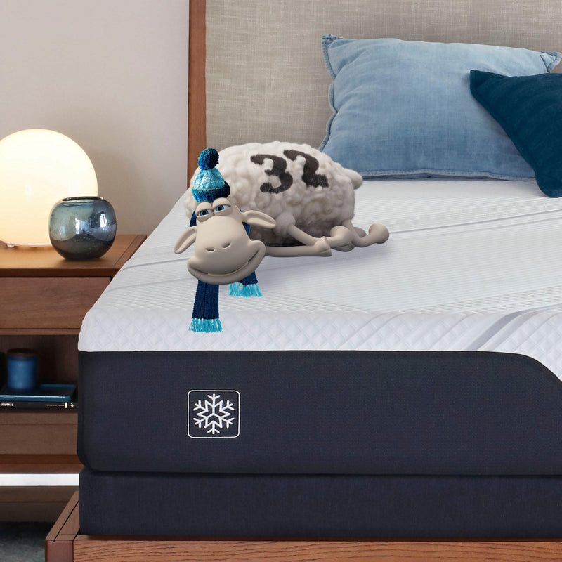 Serta Limited Edition Plush Mattress (Queen) IMAGE 13