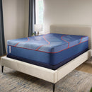  Sealy High Point II Soft Mattress (Queen) IMAGE 1