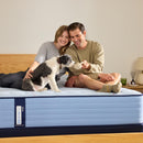  Sealy Northbrook Tight Top Soft Mattress (Queen) IMAGE 1