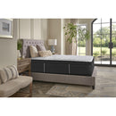  Sealy Cayden Hybrid Medium Euro Top Mattress (Twin) IMAGE 12