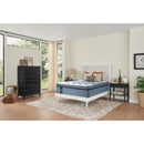  Sealy Taryn Plush Euro Pillow Top Mattress (Queen) IMAGE 4