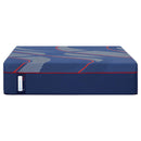  Sealy Thomson Hybrid Plush Mattress (Full) IMAGE 2