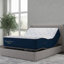  Sherwood Bedding Group Monaco 2.0 Tight Top Plush (Queen) IMAGE 1